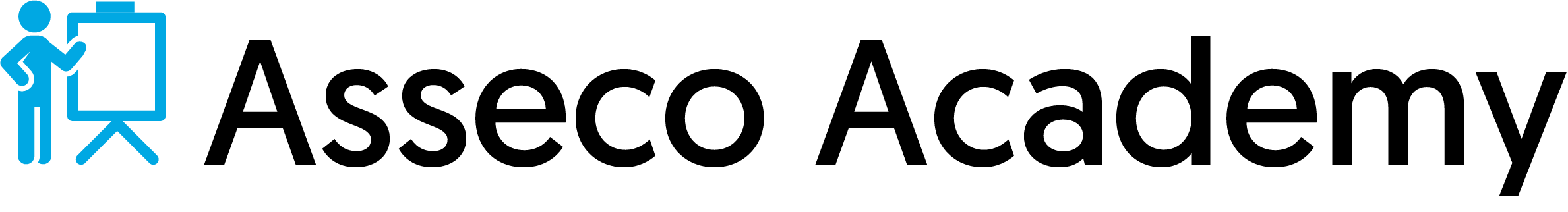 ASSECO DATA SYSTEMS