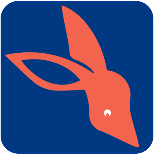 BILBY TECH SOLUTION AND TRAINING PTY LTD