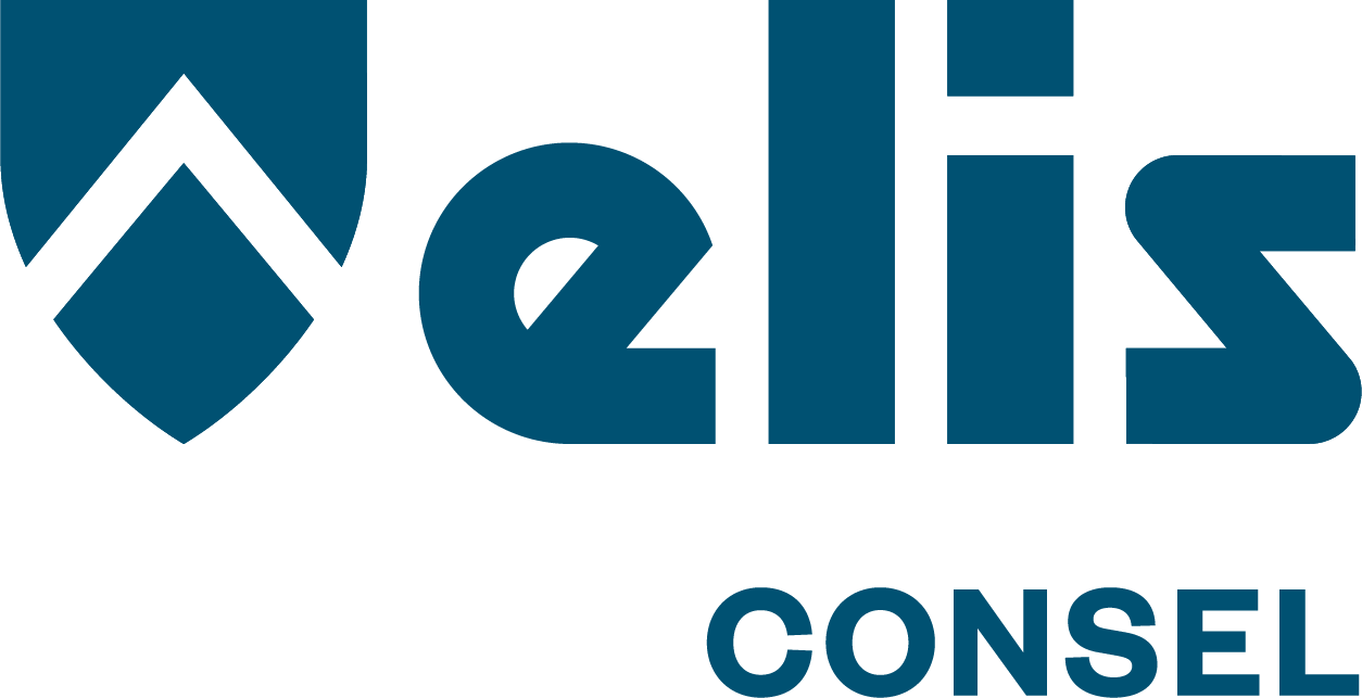 Consel Consorzio ELIS