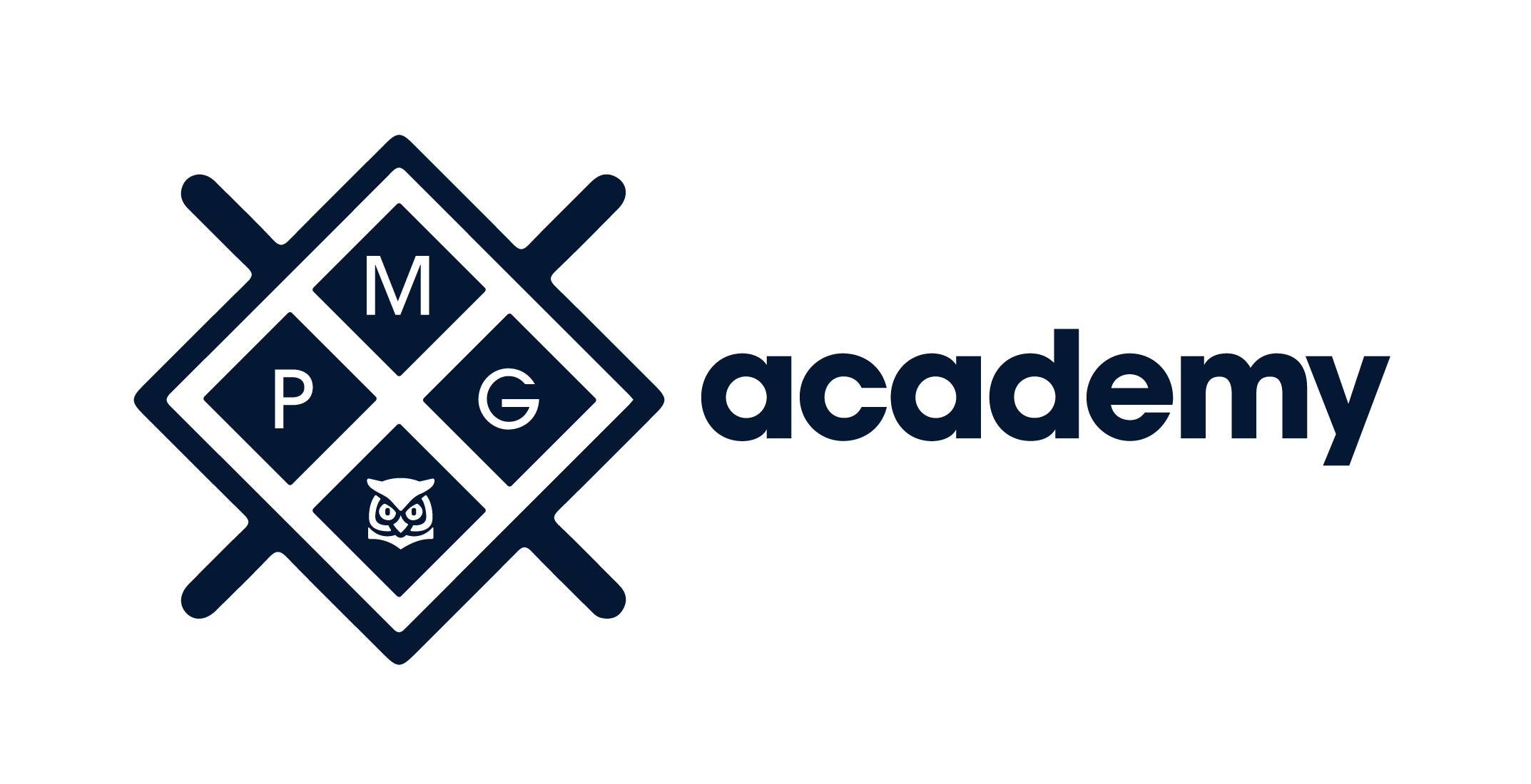 PMG ACADEMY